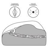 Мастурбатор - Streetgirl's #1 Black