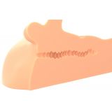 PDX Plus Perfect Ride Light