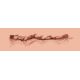 Мастурбатор-вагина Naked Factory Cup Sleeve V–2, сквозной