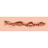 Мастурбатор-вагина Naked Factory Cup Sleeve V–3, сквозной Мастурбатор-вагина Naked Factory Cup Sleeve V–3, сквозной