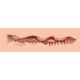 Мастурбатор-вагина Naked Factory Cup Sleeve V–3, сквозной Мастурбатор-вагина Naked Factory Cup Sleeve V–3, сквозной