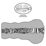 Мастурбатор - Alien's Pie Masturbator #2 Black