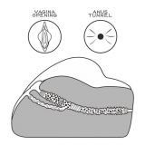 Мастурбатор - Streetgirl's #3 Black