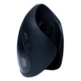 Pulse Solo Interactive