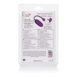 CalExotics Rechargeable Kegel Ball Starter віброяйце, що перезаряджається, 7,7х3, 25 см