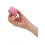 Frisky Pleasure Balls Set - комплект вагінальних кульок