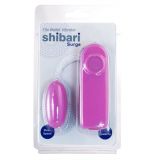 Виброяйцо Surge Bullet Vibrator, 5,5х2,5 см 