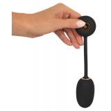 Intense RC Vibrating Egg Intense RC Vibrating Egg