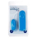 Виброяйцо Surge Bullet Vibrator, 5,5х2,5 см 