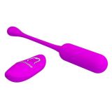 Віброяйце - Pretty Love Lechies Vibrating Egg Purple