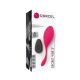Виброяйцо Dorcel Secret Vibe 2