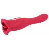 Oral Fun Vibrator