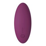 Edeny Auflegevibrator