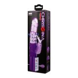 Компьютерный вибратор - Pretty Love Christina Vibrator with Bunny Purple