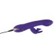 Комп'ютерний вібратор - Rabbit Euphoria Purple