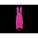 Набір вібраторів Adrien Lastic Promo Pack Pocket Vibe (25 шт + тестери)