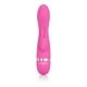 CalExotic Foreplay Frenzy Bunny вібратор-кролик 11.5х3.25 см