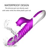Вібратор - Silicone Vibrator, USB, 10 Function &Thrusting Function, Heating Вібратор - Silicone Vibrator, USB, 10 Function &Thrusting Function, Heating