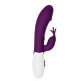 Вібратор - Pretty Love Rasmussen Dual Vibrator Purple