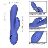 CalExotics California Dreaming Beverly Hills Bunny - вібратор кролик, 11,5х3, 75 см