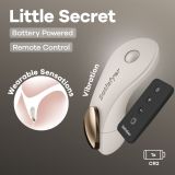 Вібратор у трусики Satisfyer Little Secret Battery Series з пультом ДК