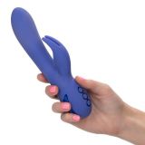 CalExotics California Dreaming Beverly Hills Bunny - вібратор кролик, 11,5х3, 75 см