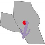 Стимулятор G-точки - 3 Pointer, purple