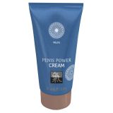 Возбуждающий крем - Hot Shiatsu Penis Power Cream, 30 мл