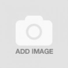 ADJUSTABLE SILVER PLATED NIPPLE CLI