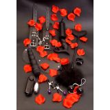 Набір Lovetoy Starter Kit