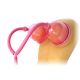 Вакуумна помпа для грудей Pink Breast Pumps