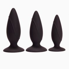 Набір анальних пробок Pornhub Anal Training Kit