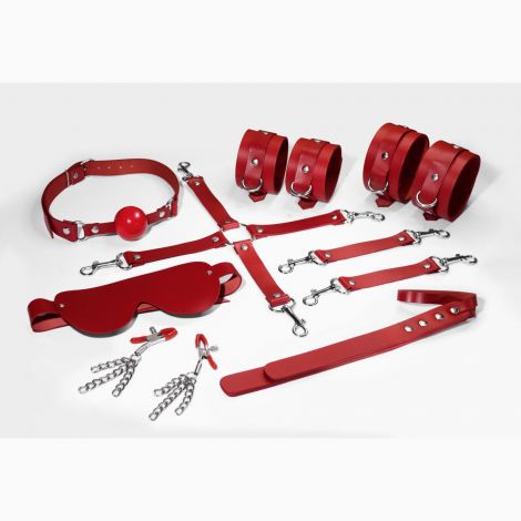 Набор Feral Feelings BDSM Kit 7 Red, наручники, поножи, коннектор, маска, паддл, кляп, зажимы