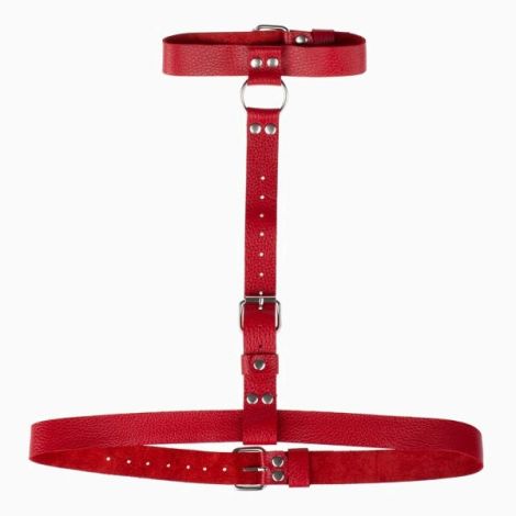 Гартер - Double Ring of Humiliti Red