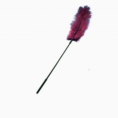 Перо страуса Sportsheets Ostrich Tickler Бордовое, для изысканных ласк