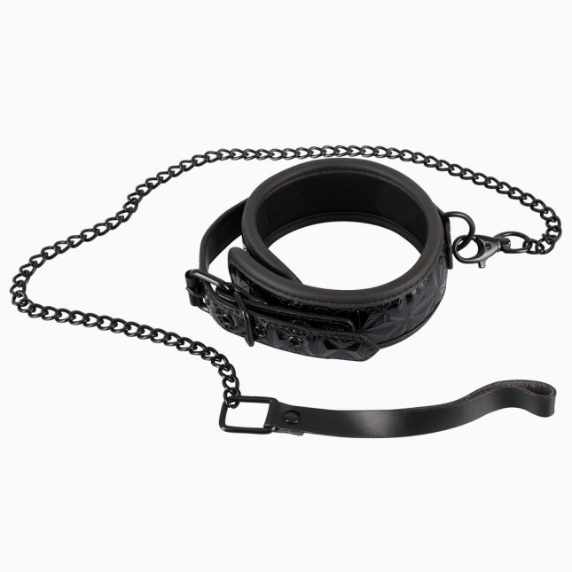 Нашийник з поводком - 2491974 Collar With Leash