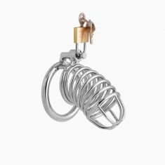 Пикантные Штучки DPCB001S - Пояс верности, 8х4,5 см (серебристый)