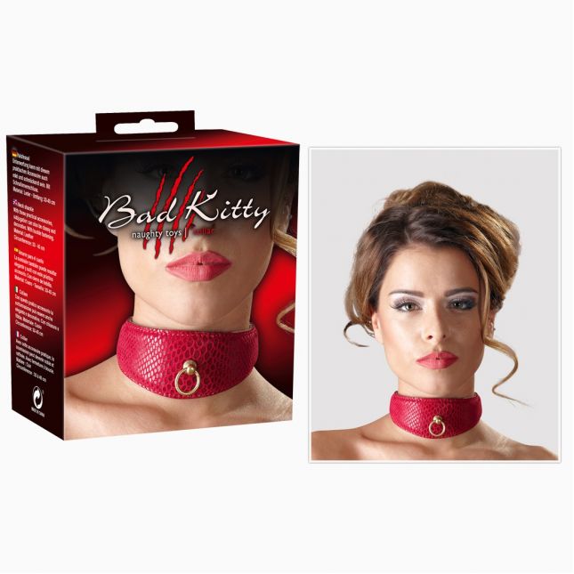 Нашийник - 2491818 Collar Snake