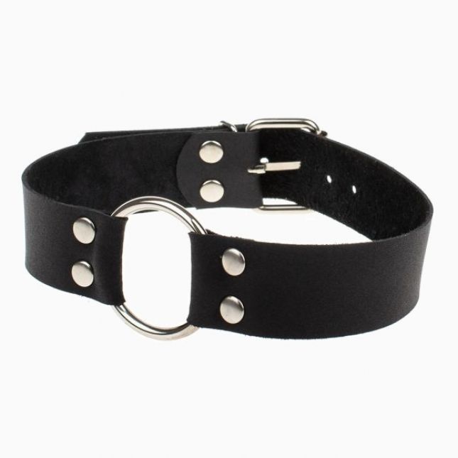 Нашийник Passion Smooth Black