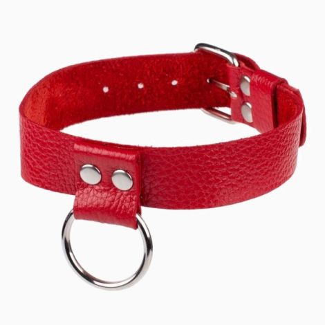 Нашийник Ring of Humiliti Red