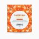 Пробник массажного масла EXSENS Carnelian Apricot 3мл (срок до 01.12.2025)