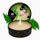 Массажная свеча Shunga Massage Candle, 30 мл (зеленый чай)