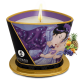 Массажная свеча Shunga Candle, 170 мл (Экзотические фрукты)