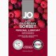 Пробник System JO H2O - RASPBERRY SORBET (3 мл)