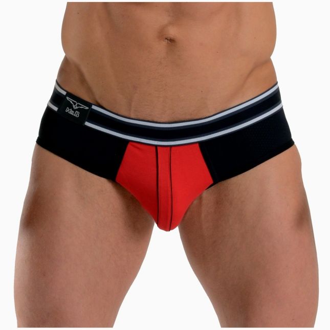 2120313 Mens Briefs