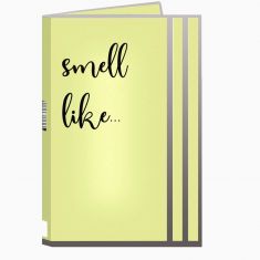 Жіночі парфуми з феромонами - Aurora Smell Like 08 Woman, 1 мл