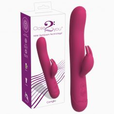 Комп'ютерний вібратор - Coniglio