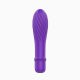 Toy Joy Ecstasy Mini Vibe вібромасажер 12.5х3 см