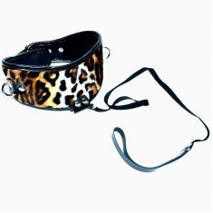 Нашийник Леопард