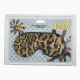 Pleasure Tiger Mask
